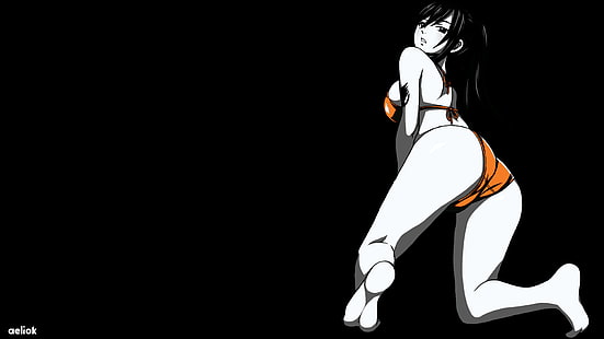 Anime, Scarlet Erza, Fairy Tail, Japan, Bikini, Lewd, HD-Hintergrundbild HD wallpaper