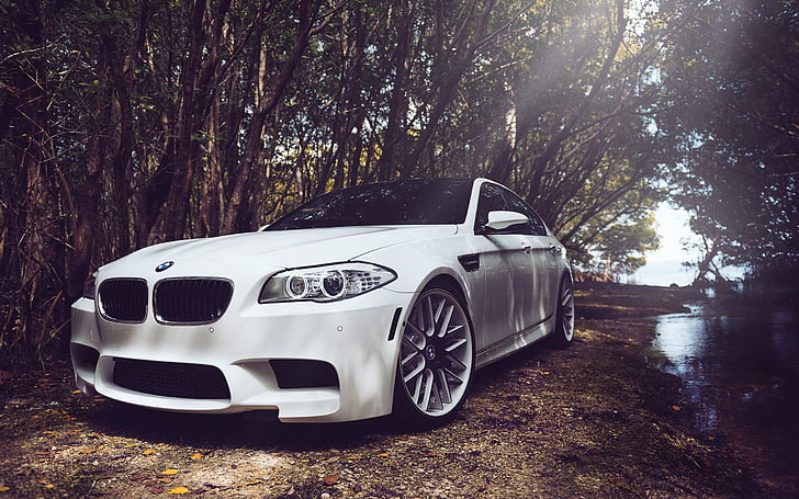 sedán BMW blanco, BMW, bosque, árboles, BMW M5, coches blancos, coche, Fondo de pantalla HD
