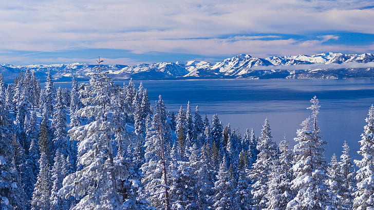 Jezioro Tahoe, Kalifornia, zima, Tapety HD
