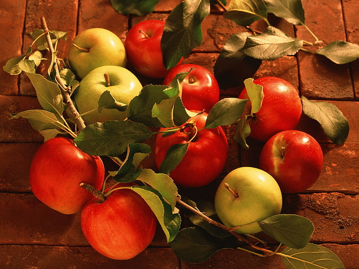 several apples, apples, crop, fruit, branch, leaves, grades, red, green, HD wallpaper