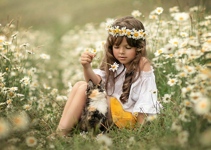 Fotografi, Anak, Brunette, Kucing, Bunga, Gadis, Gadis Kecil, Kesayangan, Musim Panas, Bunga Putih, Karangan Bunga, Wallpaper HD