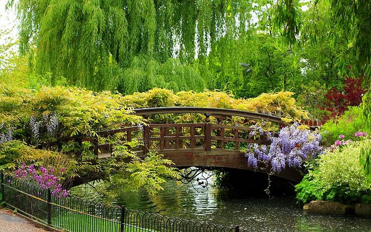 деревья, мост, сад, HD обои