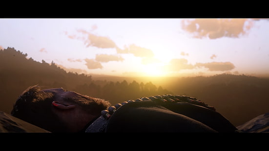 Red Dead Redemption 2, Arthur Morgan, HD-Hintergrundbild HD wallpaper