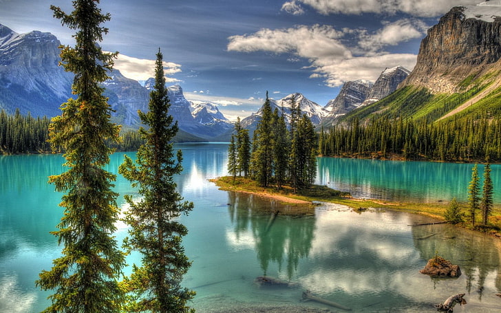 grünblättrige Bäume, Natur, Maligne See, Insel, Berge, Kiefern, Landschaft, Kanada, HD-Hintergrundbild