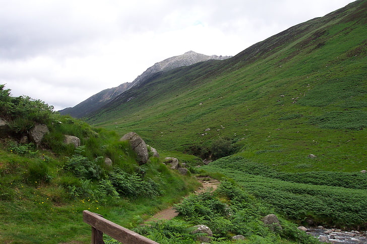 grüne Wiese, Landschaft, Natur, Steine, Berge, Grün, Pflanzen, HD-Hintergrundbild