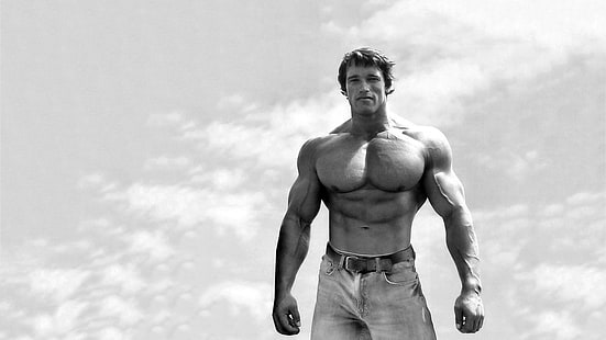 Actores, Arnold Schwarzenegger, Fondo de pantalla HD HD wallpaper