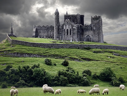 castles, medieval, nature, sheep, HD wallpaper HD wallpaper