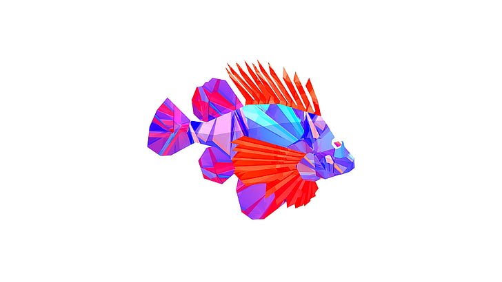 голубая, фиолетовая и красная картина рыб, животные, грани, рыба, цифровое искусство, Джастин Маллер, белый фон, HD обои