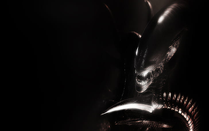 Alien Xenomorph Black HD, черно, филми, извънземно, xenomorph, HD тапет