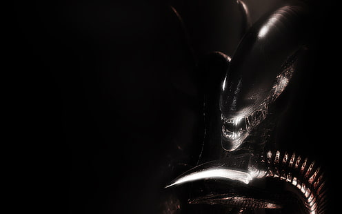 Alien Xenomorph Black HD, czarny, filmy, obcy, ksenomorf, Tapety HD HD wallpaper