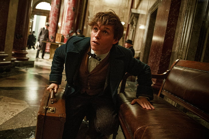 Fantastic Beasts And Where To Find Them, Eddie Redmayne, Best Movies, HD wallpaper