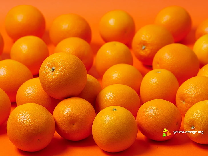 فواكه برتقالية ، برتقال (فاكهة) ، برتقال ، فواكه ، طعام، خلفية HD