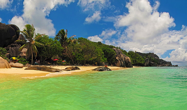 cocoteros verdes y marrones, playa, trópicos, piedras, palmeras, rocas, costa, isla, Seychelles, el océano Índico, la isla de La Digue, Fondo de pantalla HD