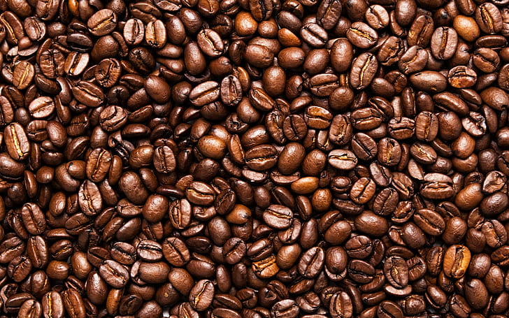 Torrado, grãos de café, sementes, grãos de café, torrado, café, feijão, sementes, HD papel de parede