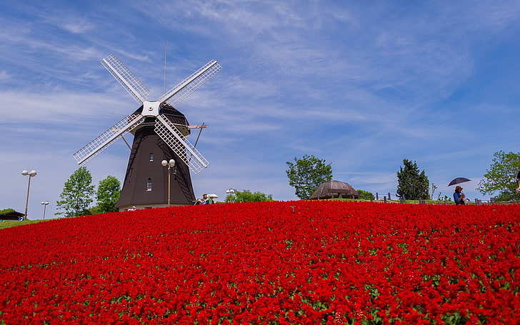 windmill, HD wallpaper