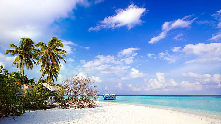 ビーチ、セブ、島、風景、フィリピン、 HDデスクトップの壁紙