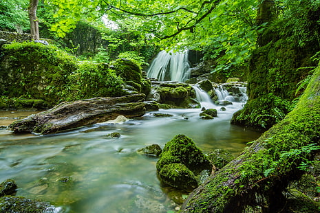 nature, landscape, waterfall, creeks, moss, rocks, HD wallpaper HD wallpaper