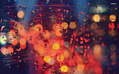 fotografía bokeh, fotografía bokeh con gotas de agua, gotas de agua, lluvia, macro, Fondo de pantalla HD HD wallpaper