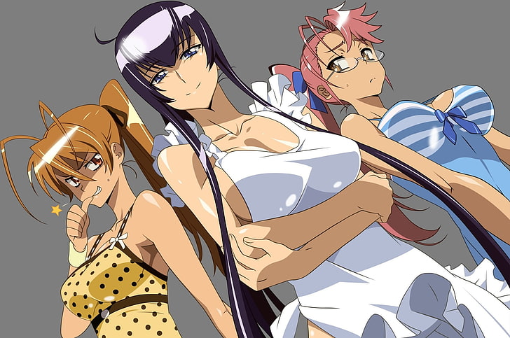 Anime, Escola Secundária Dos Mortos, Rei Miyamoto, Saeko Busujima, Saya Takagi, HD papel de parede