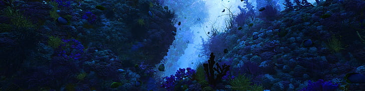 pantalla múltiple, bajo el agua, peces, naturaleza, mar, Fondo de pantalla HD