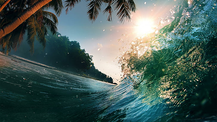 gelombang, telapak tangan, pohon palem, laut, liburan, musim panas, matahari, sinar matahari, Wallpaper HD