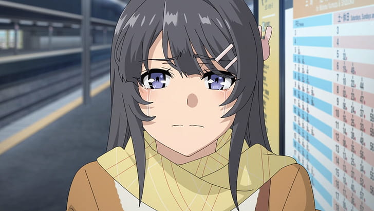 Anime, patife não sonha com Bunny Girl Senpai, Mai Sakurajima, HD papel de parede