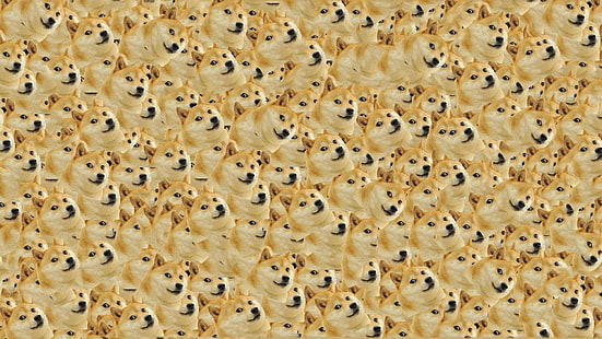 fawn shiba inu illustration, Dog, Texture, Doge, HD wallpaper HD wallpaper