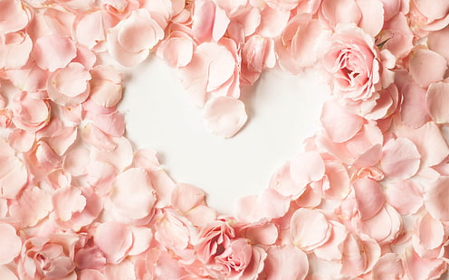 Różowe płatki, róża, serce miłości, różowy, płatki, róża, miłość, serce, Tapety HD HD wallpaper