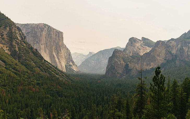 Cimeira de El Capitan, Califórnia, montanhas, árvores, floresta, HD papel de parede