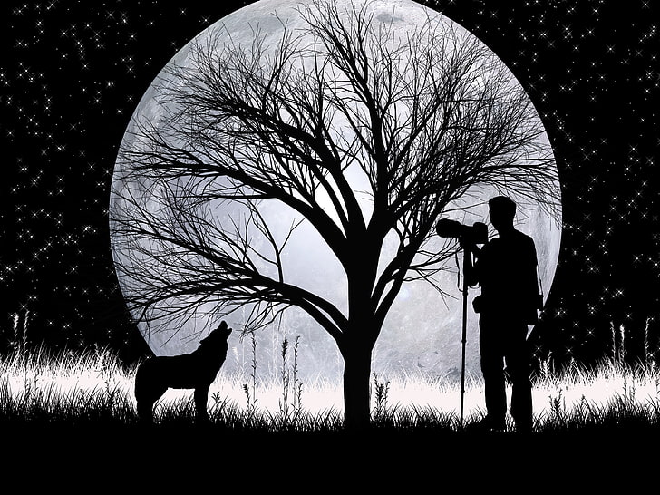 wilk, księżyc w pełni, sylwetki, sztuka, wektor, fotograf, Tapety HD