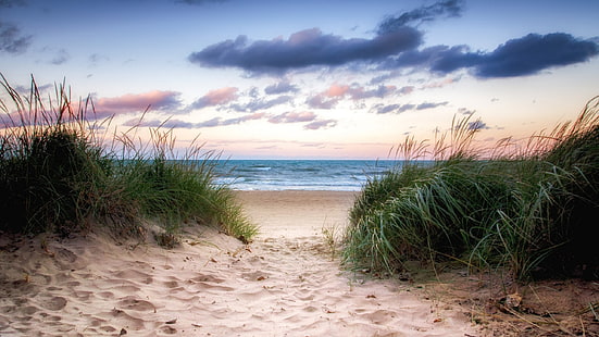 Ziemia, plaża, trawa, horyzont, ocean, ścieżka, piasek, morze, Tapety HD HD wallpaper