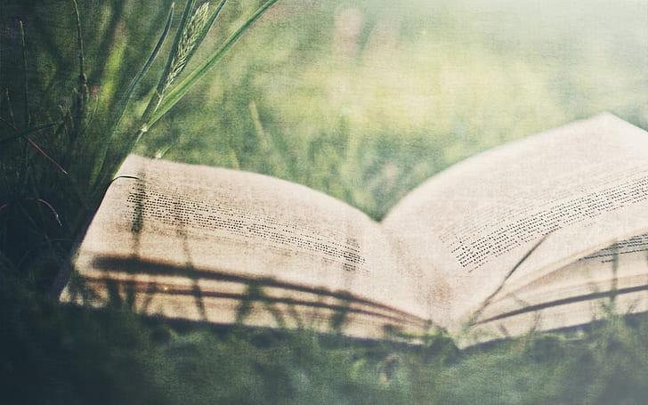 white, grass, leaves, retro, letters, mood, books, book, letter, words, the phrase, the word, page, phrase, HD wallpaper