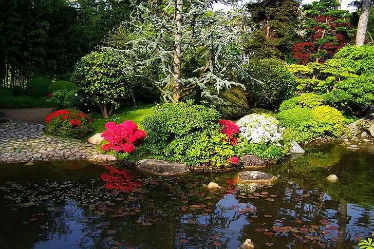 green leafed plants, trees, flowers, pond, France, Paris, garden, the bushes, Albert-Kahn Japanese gardens, HD wallpaper