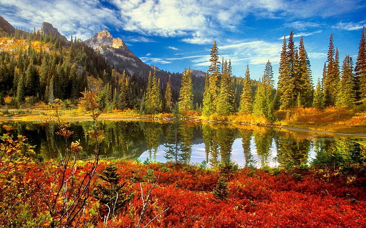 autum forest Beauty Lake Around The Nature Nature Lakes HD Art , nature, lake, forest, tree, sky, autum, HD wallpaper