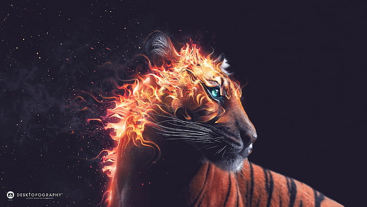 orange tiger illustration, Desktopography, animals, tiger, fire, digital art, artwork, HD wallpaper