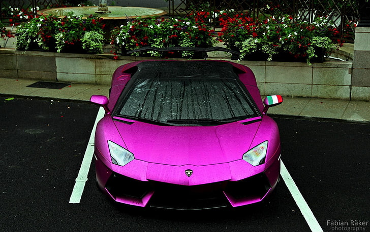 pink Lamborghini Aventador, drops, Parking, beauty, Lamborghini LP700-4 Aventador, HD wallpaper