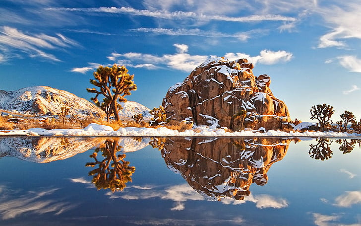 Beautiful Landscape Wallpaper Hd Winter Peaceful Lake Cacti, Rocks And Hills With Snow, Blue Sky And White Cloud Reflection In Water Joshua Tree National Park U.s.a, HD wallpaper