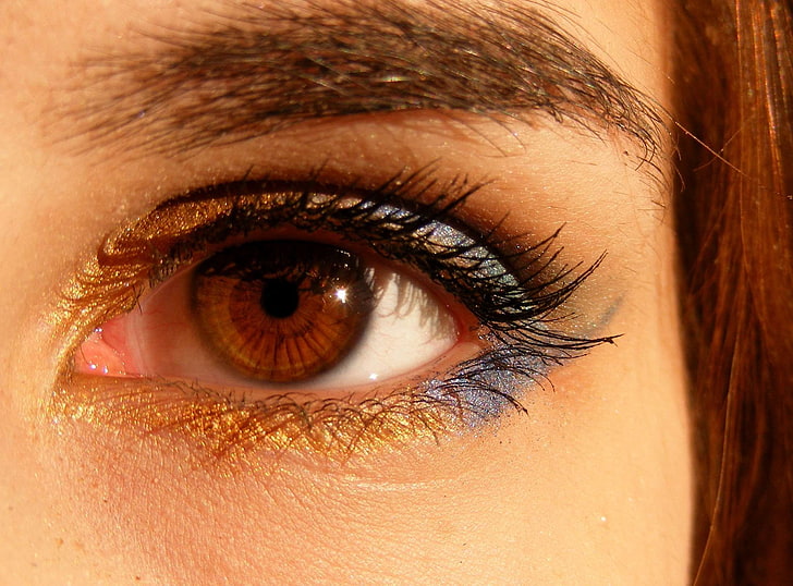 close up, eye, eyebrow, eyelashes, eyeshadow, girl, make up, person, HD wallpaper