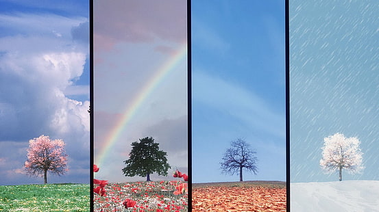 사계절 1920x1076 자연 계절 HD 아트, 사계절, HD 배경 화면 HD wallpaper