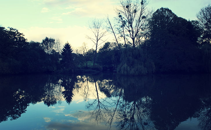 Fluss, Gewässer, Natur, Flüsse, Bäume, Bläulich, Reflexion, HD-Hintergrundbild