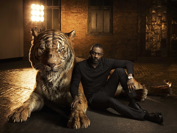 Film terbaik 2016, fantasi, Idris Elba, The Jungle Book, Shere Khan, petualangan, Wallpaper HD