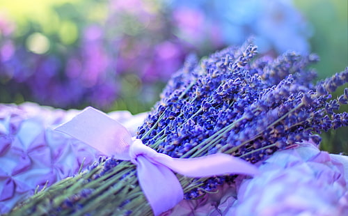 Lavendel Bouquet, Jahreszeiten, Sommer, Lila, Blumen, Outdoor, Lavendel, Land, Strauß, Violett, Bokeh, Blumen, Aroma, Kräuter, Aromatherapie, HD-Hintergrundbild HD wallpaper