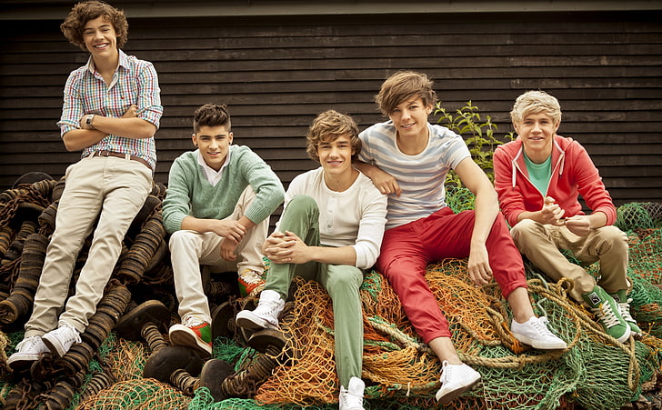 One Direction Band, One Direction group, Music, Others, Band, Boys, One Direction, HD wallpaper