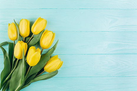  flowers, yellow, tulips, fresh, wood, beautiful, spring, tender, HD wallpaper HD wallpaper