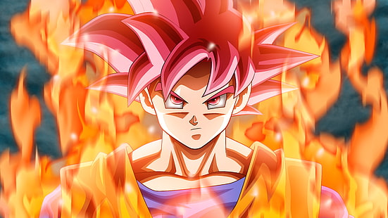 Dragon Ball Son Goku Super Saiyan God, Goku, Dragon Ball Super, 4K, 8K, HD wallpaper HD wallpaper