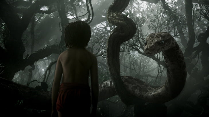 The Jungle Book, Mowgli, Kaa, adventure, fantasy, Best movie of 2016, HD wallpaper