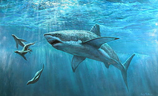 لوحة سمك القرش الأبيض العظيم ، ضحلة من أسماك القرش ، رسومات فنية ، كبيرة ، بيضاء ، سمك القرش ، لوحة، خلفية HD HD wallpaper