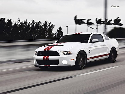 бело-красное купе, суперкар, Ford Mustang, Shelby GT500, американские автомобили, мускул кар, HD обои HD wallpaper