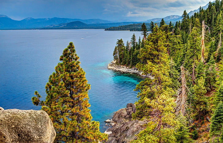Lagos, Lago Tahoe, Tierra, Lago, Árbol, Fondo de pantalla HD