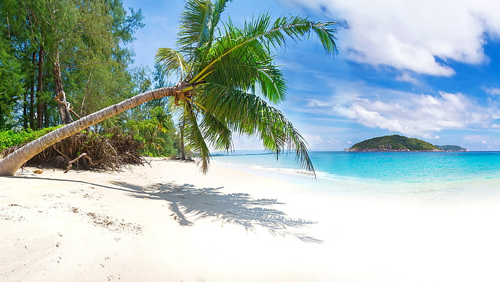 ареалы, песчаный пляж, пляж, Таиланд, вода, побережье, остров, океан, дерево, тропики, пальма, небо, отпуск, море, лето, берег, пальма, HD обои